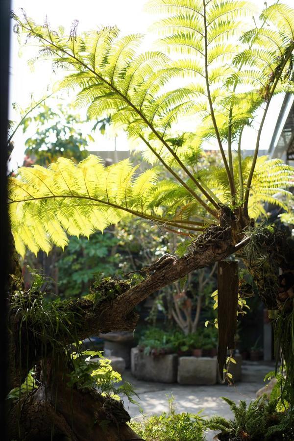 藴慢築 茶花藝主題民宿 Yun Man Zhu Homestay Gongguan Bagian luar foto